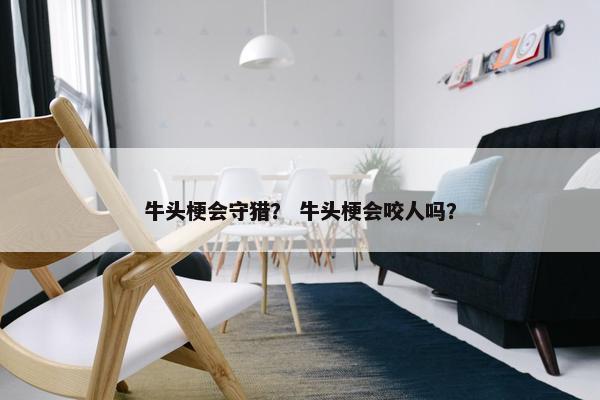 牛头梗会守猎？ 牛头梗会咬人吗？