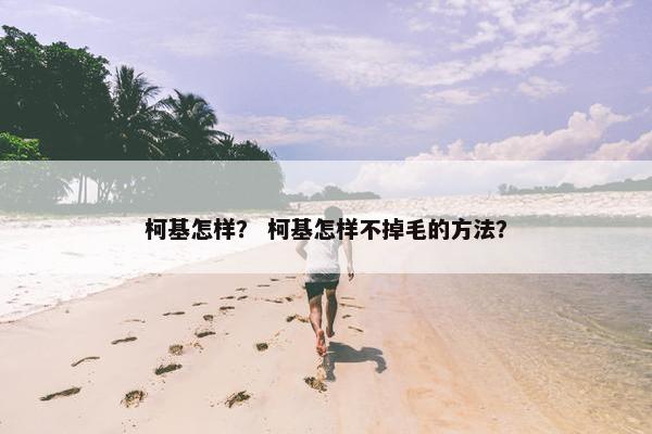 柯基怎样？ 柯基怎样不掉毛的方法？