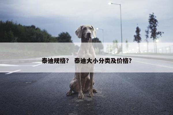 泰迪规格？ 泰迪大小分类及价格？