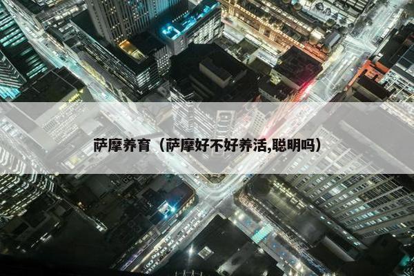 萨摩养育（萨摩好不好养活,聪明吗）