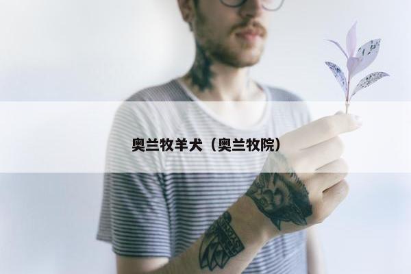 奥兰牧羊犬（奥兰牧院）
