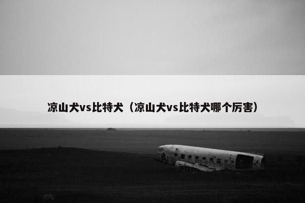 凉山犬vs比特犬（凉山犬vs比特犬哪个厉害）