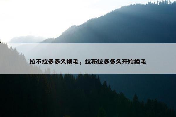 拉不拉多多久换毛，拉布拉多多久开始换毛