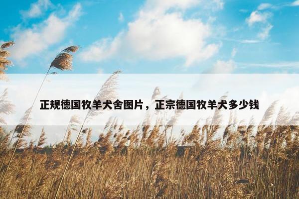 正规德国牧羊犬舍图片，正宗德国牧羊犬多少钱
