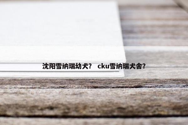 沈阳雪纳瑞幼犬？ cku雪纳瑞犬舍？