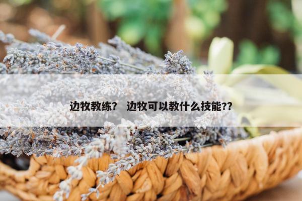 边牧教练？ 边牧可以教什么技能?？