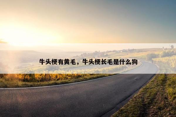 牛头梗有黄毛，牛头梗长毛是什么狗