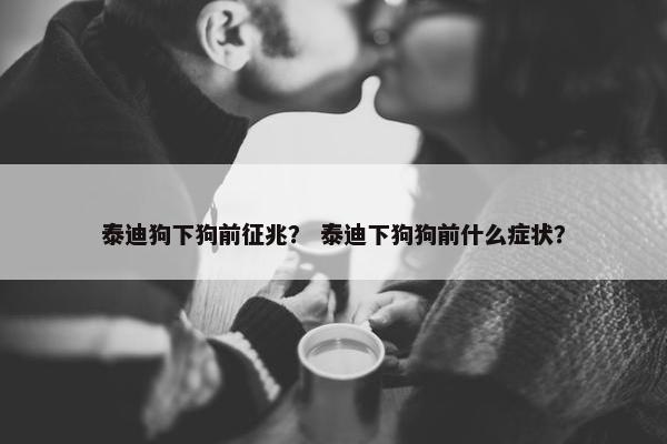 泰迪狗下狗前征兆？ 泰迪下狗狗前什么症状？