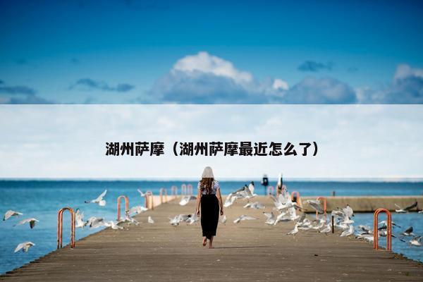 湖州萨摩（湖州萨摩最近怎么了）