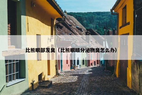 比熊眼部发臭（比熊眼睛分泌物臭怎么办）