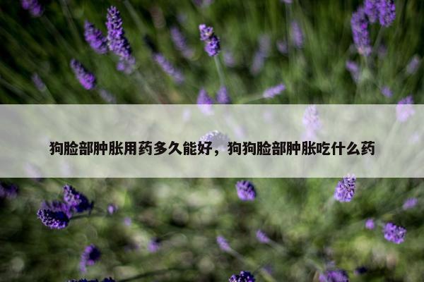 狗脸部肿胀用药多久能好，狗狗脸部肿胀吃什么药