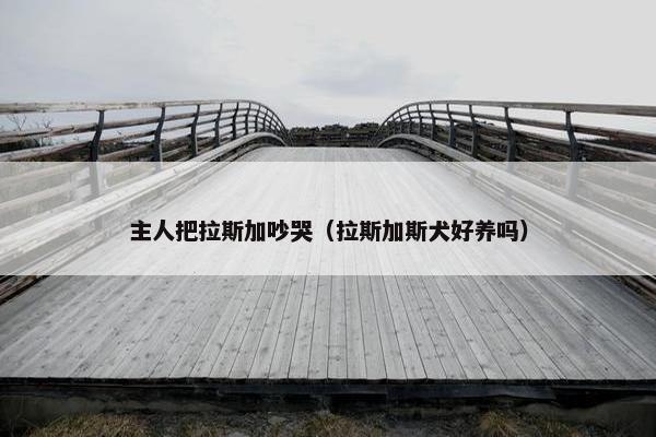 主人把拉斯加吵哭（拉斯加斯犬好养吗）