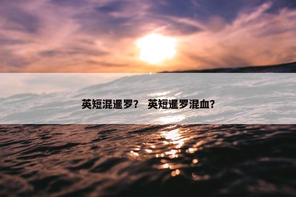英短混暹罗？ 英短暹罗混血？