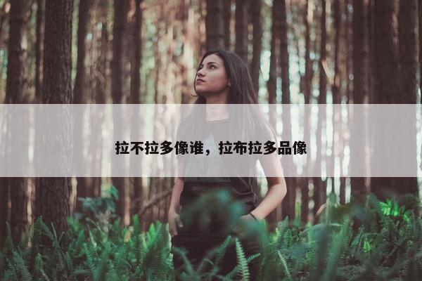 拉不拉多像谁，拉布拉多品像