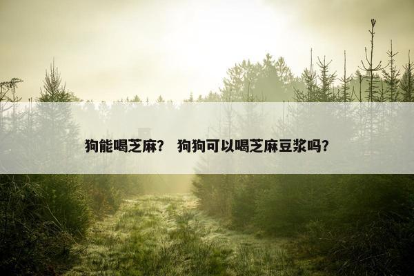 狗能喝芝麻？ 狗狗可以喝芝麻豆浆吗？
