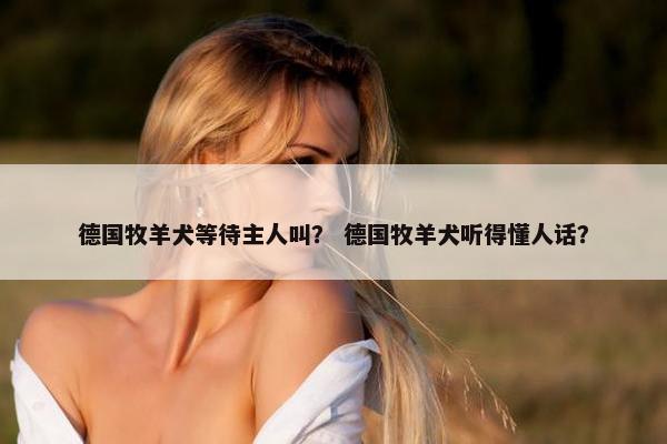 德国牧羊犬等待主人叫？ 德国牧羊犬听得懂人话？