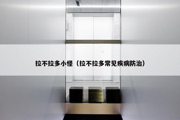 拉不拉多小怪（拉不拉多常见疾病防治）