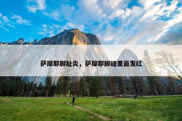萨摩耶脚趾炎，萨摩耶脚缝里面发红