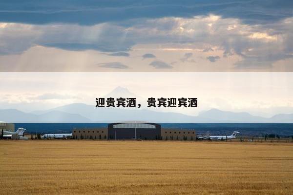 迎贵宾酒，贵宾迎宾酒