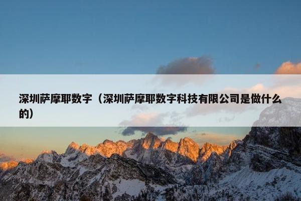 深圳萨摩耶数字（深圳萨摩耶数字科技有限公司是做什么的）