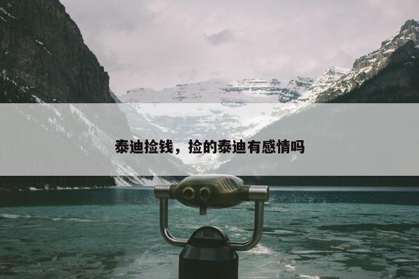泰迪捡钱，捡的泰迪有感情吗