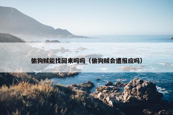 偷狗贼能找回来吗吗（偷狗贼会遭报应吗）