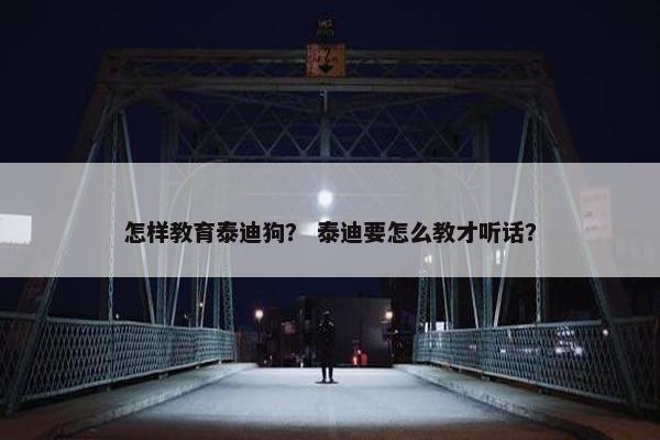 怎样教育泰迪狗？ 泰迪要怎么教才听话？