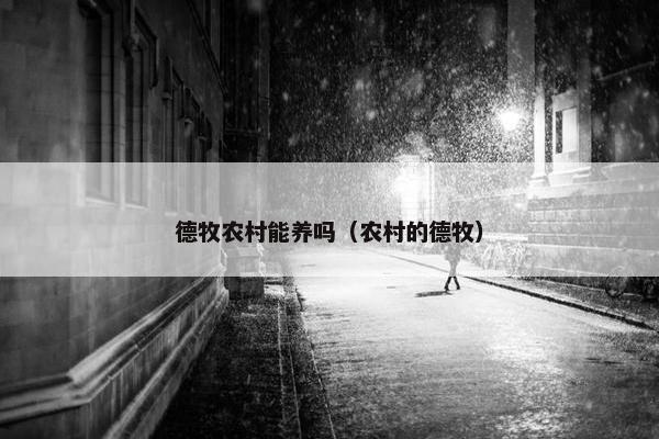 德牧农村能养吗（农村的德牧）