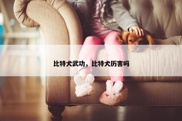 比特犬武功，比特犬历害吗