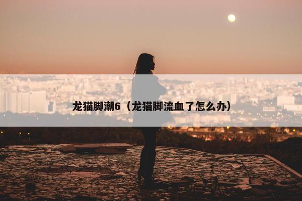 龙猫脚潮6（龙猫脚流血了怎么办）
