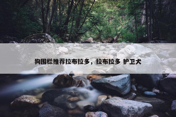 狗围栏推荐拉布拉多，拉布拉多 护卫犬