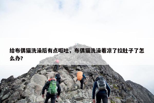 给布偶猫洗澡后有点呕吐，布偶猫洗澡着凉了拉肚子了怎么办?
