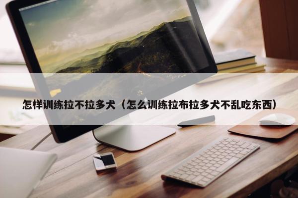 怎样训练拉不拉多犬（怎么训练拉布拉多犬不乱吃东西）