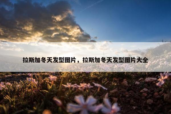 拉斯加冬天发型图片，拉斯加冬天发型图片大全