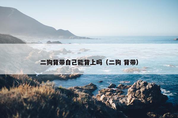 二狗背带自己能背上吗（二狗 背带）