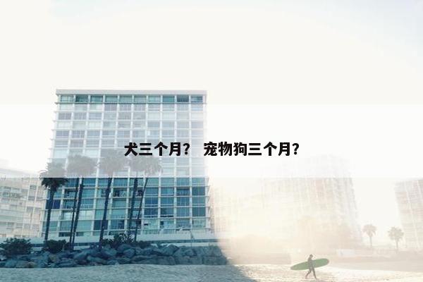 犬三个月？ 宠物狗三个月？