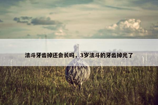 法斗牙齿掉还会长吗，3岁法斗的牙齿掉光了