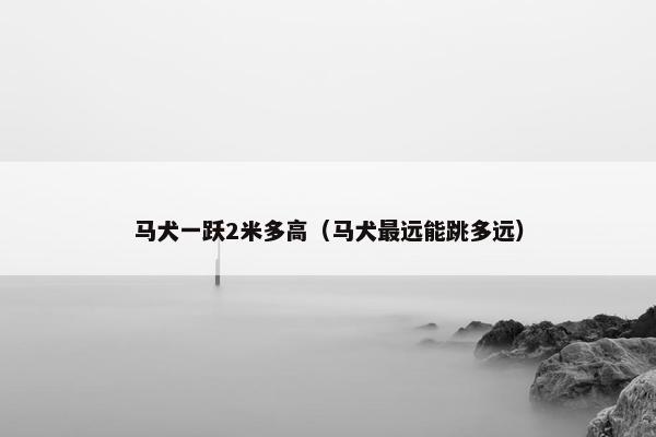马犬一跃2米多高（马犬最远能跳多远）