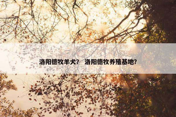 洛阳德牧羊犬？ 洛阳德牧养殖基地？