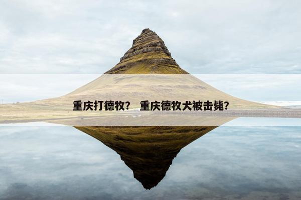 重庆打德牧？ 重庆德牧犬被击毙？