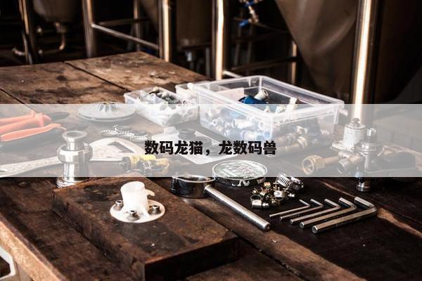 数码龙猫，龙数码兽