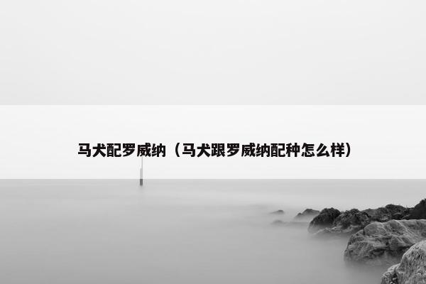 马犬配罗威纳（马犬跟罗威纳配种怎么样）