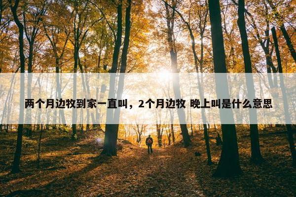 两个月边牧到家一直叫，2个月边牧 晚上叫是什么意思