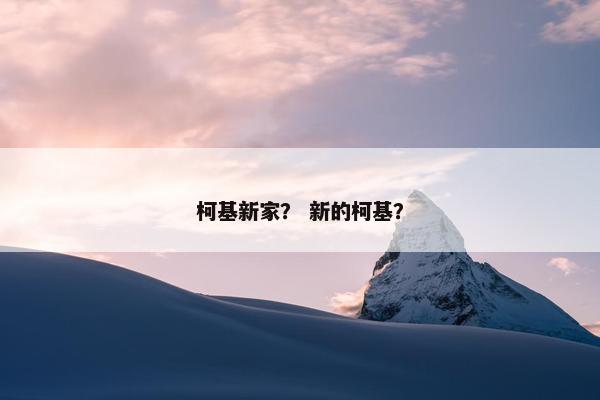 柯基新家？ 新的柯基？