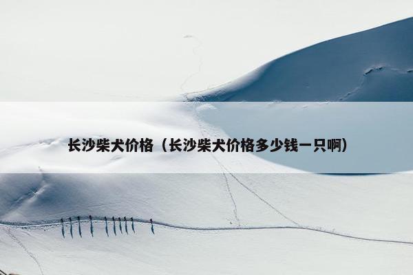 长沙柴犬价格（长沙柴犬价格多少钱一只啊）