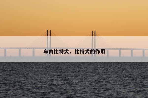 车内比特犬，比特犬的作用