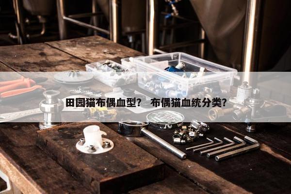 田园猫布偶血型？ 布偶猫血统分类？