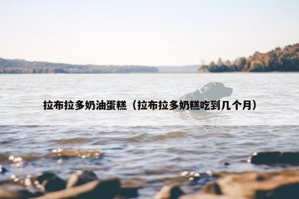拉布拉多奶油蛋糕（拉布拉多奶糕吃到几个月）