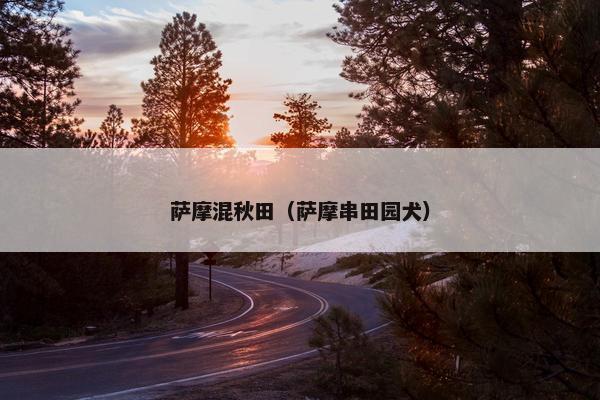 萨摩混秋田（萨摩串田园犬）