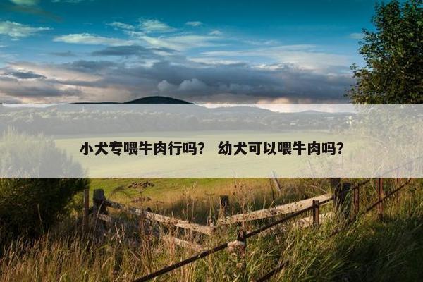 小犬专喂牛肉行吗？ 幼犬可以喂牛肉吗？